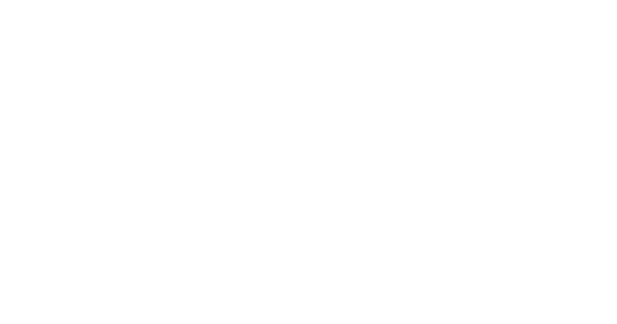 Daily Inter Lake